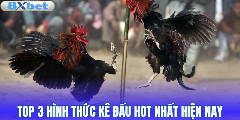Top 3 hình thức kê đấu hot nhất hiện nay